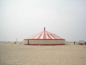 Markies op zand, IJmuiden